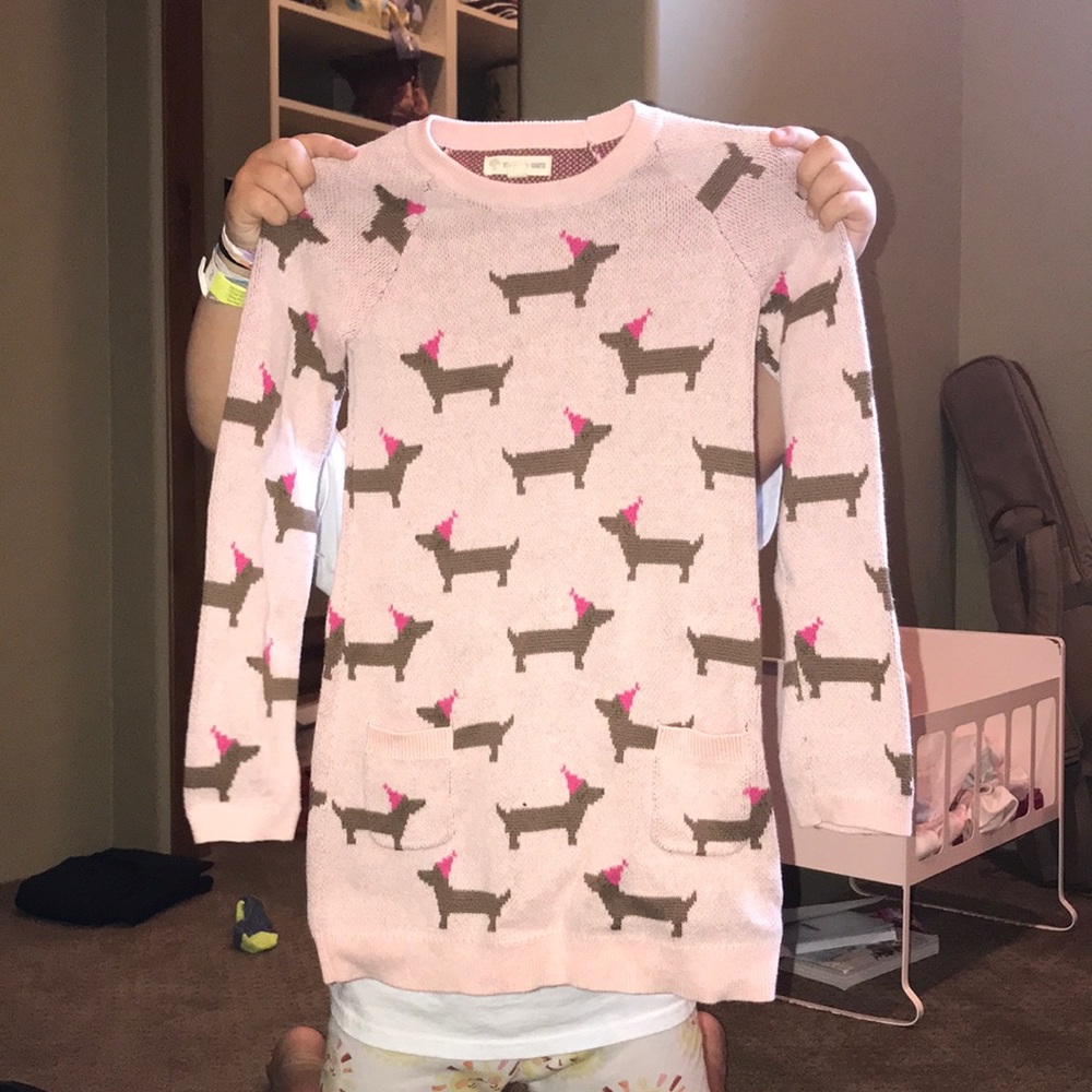 wiener dog party hat dress